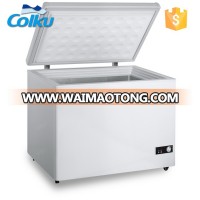 DC-250F Solid Door fridge solar car home use Solar Freezer